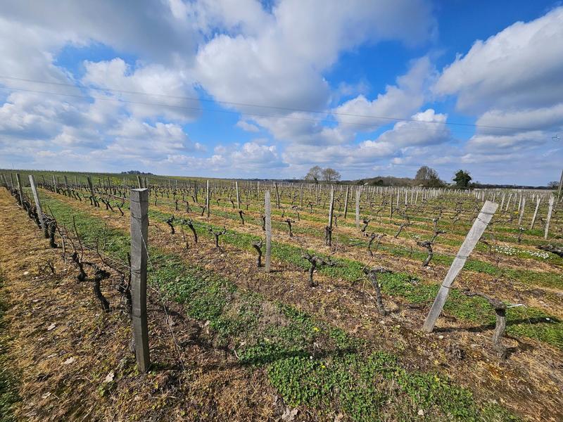 Terrain agricole - 58 343 m²