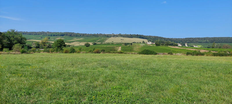 Terrain - 932 m²