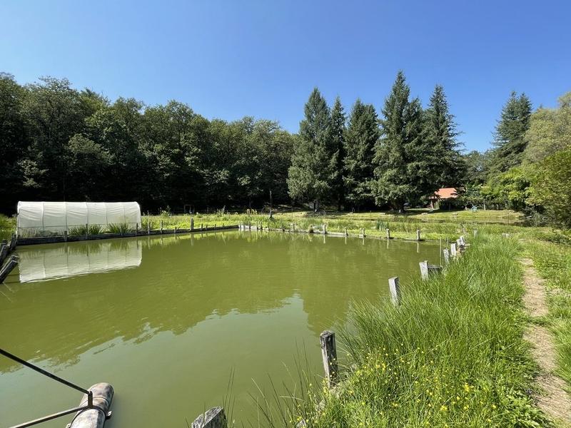 Maison ancienne - 50 m² - 3 pièces