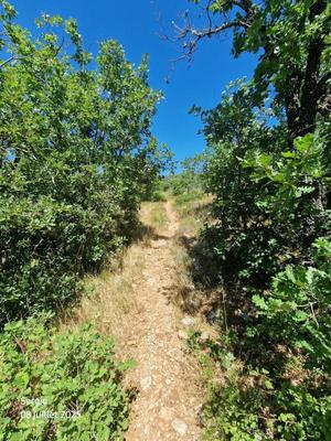 Terrain - 44 320 m²