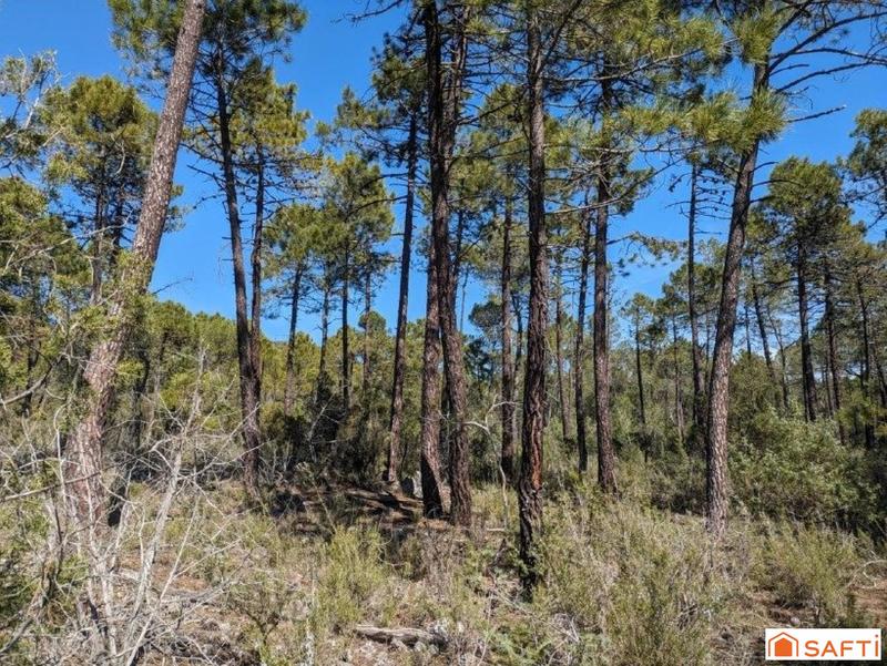 Terrain - 49 930 m²