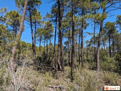 Terrain - 49 930 m²