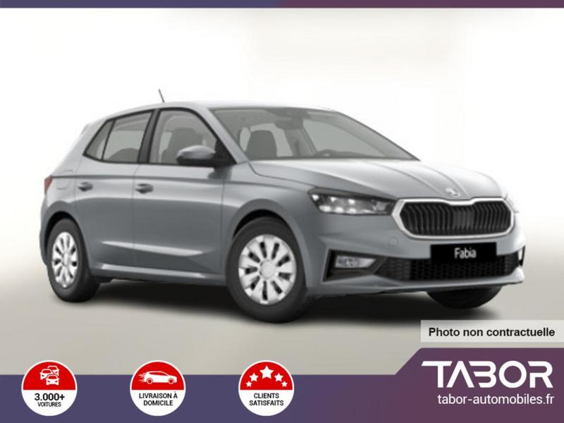 Skoda Fabia Dsg Selec siegeschauff Cam Radars