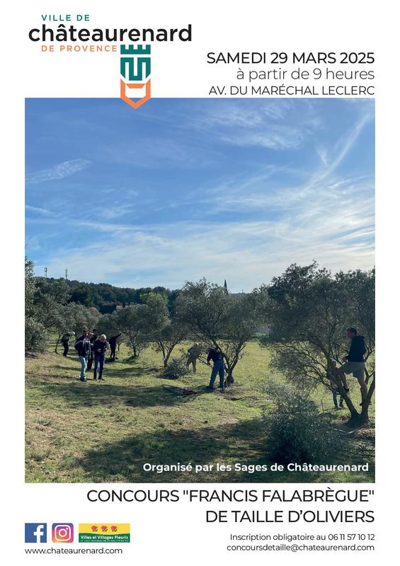 Concours "Francis Falabrègue" de taille des oliviers