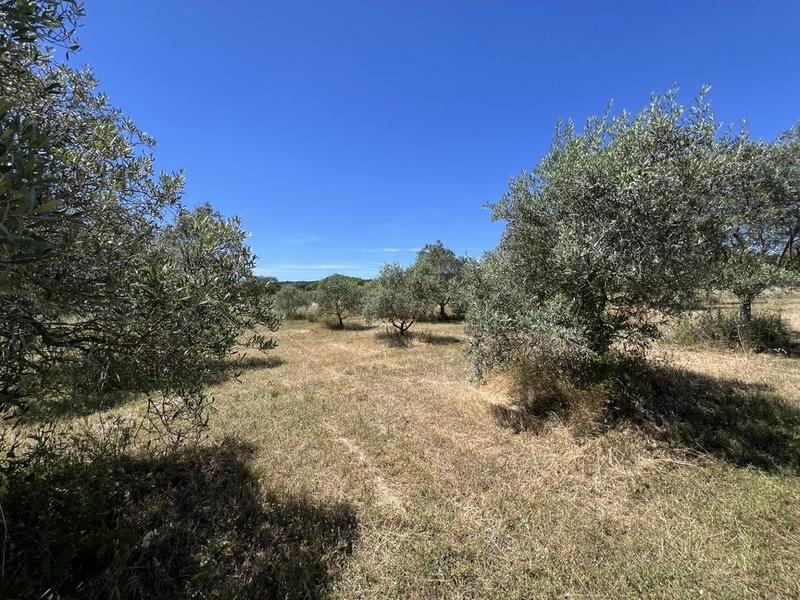 Maison - 64 m² - 4 pièces