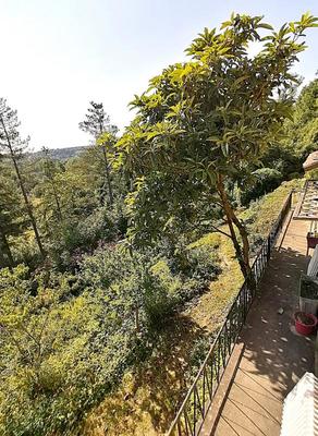 Maison - 148 m² - 6 pièces