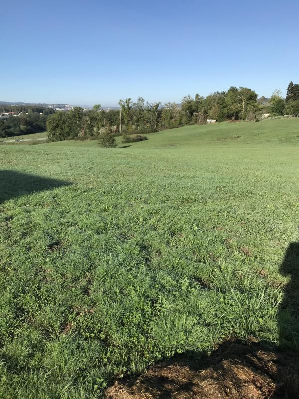 Terrain constructible - 1 500 m²