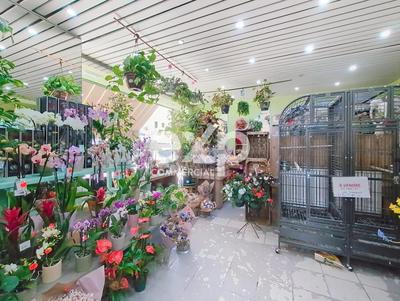 Magasins - 57 m² - 7 pièces