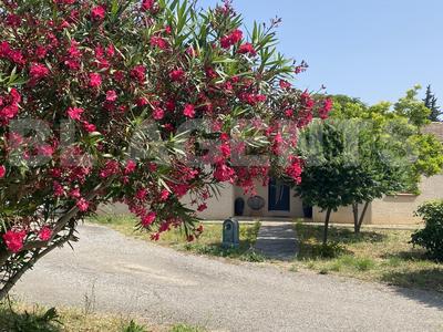 Maison traditionnelle - 116 m² - 5 pièces