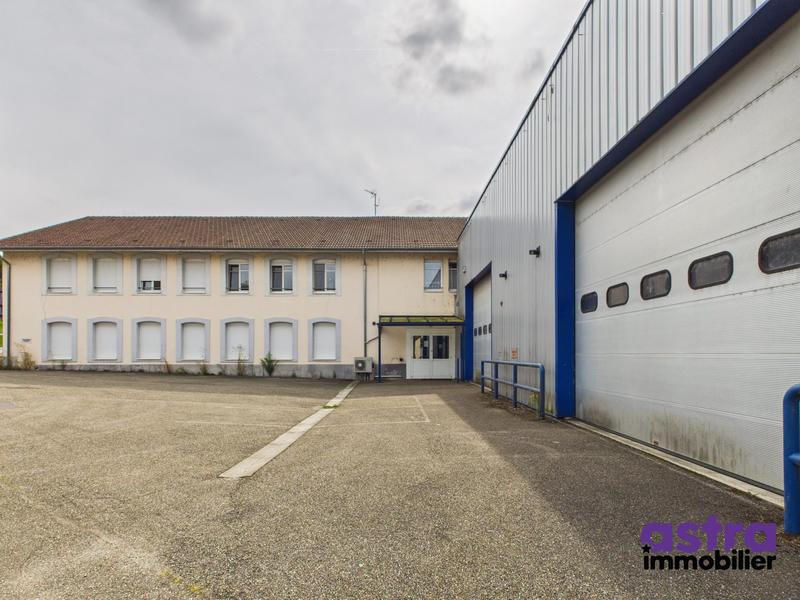 Local commercial - 1 243 m²
