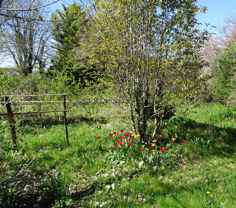 Maison - 136 m² - 5 pièces