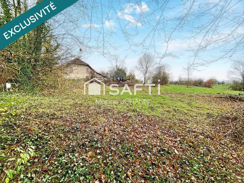 Terrain - 2 674 m²