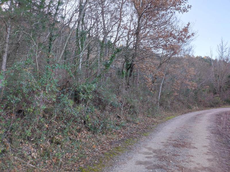 Terrain de loisirs - 25 880 m²