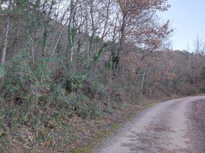 Terrain de loisirs - 25 880 m²