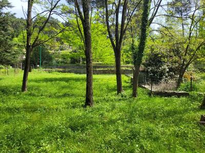 Terrain constructible - 3 500 m²