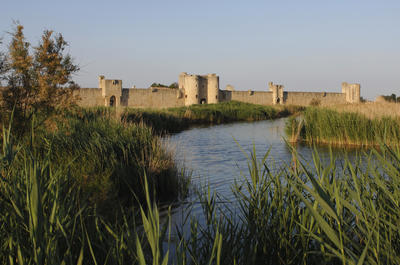 Un patrimoine au cœur des milieux humides : interaction et enjeux