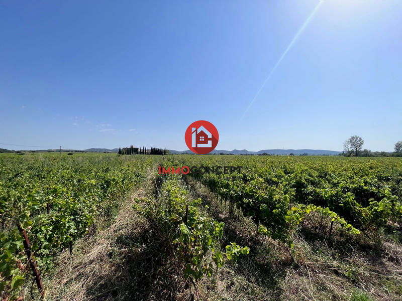 Maison - 114 m² - 6 pièces