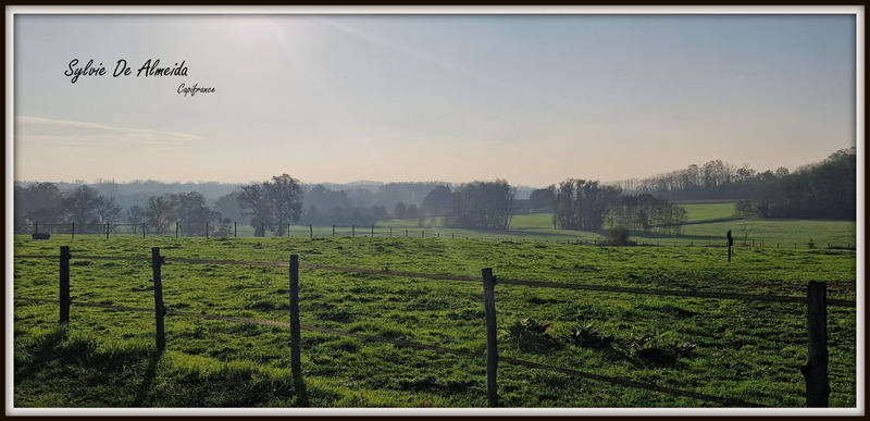 Maison - 206 m² - 6 pièces