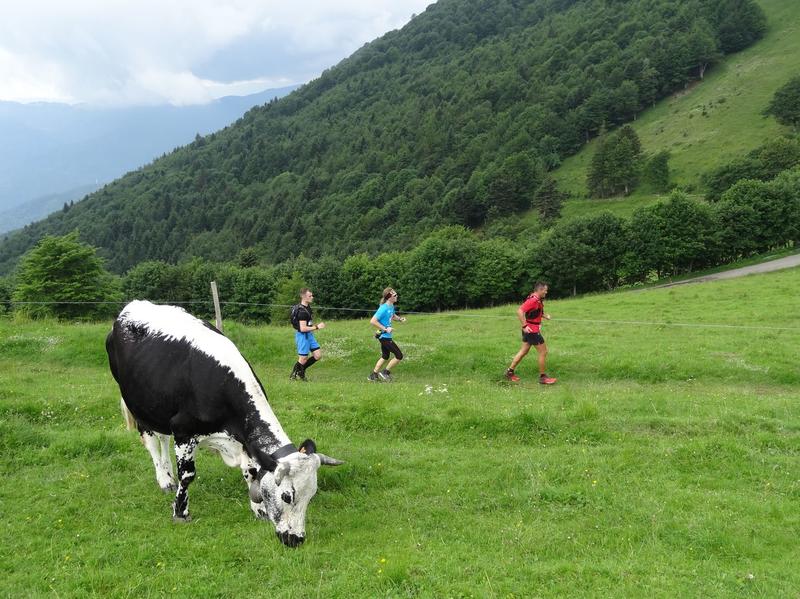 Escape Game : le secret de la gardienne