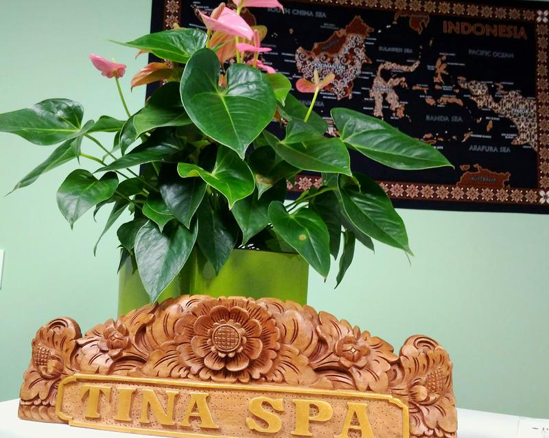 Tina Spa