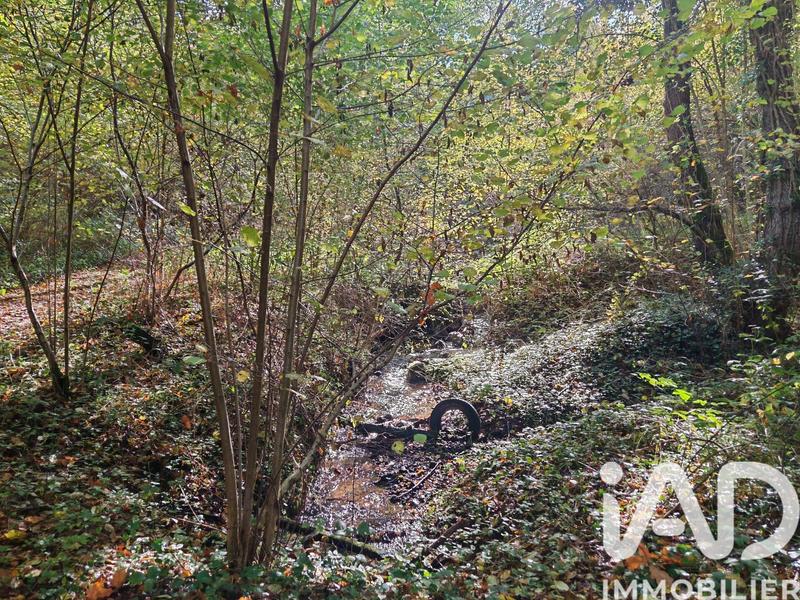 Terrain - 113 246 m²