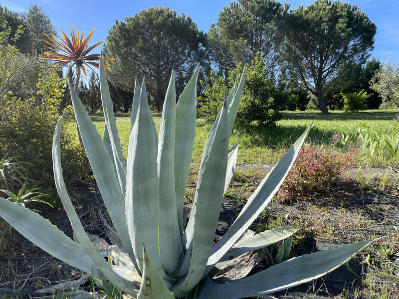 Villa - 140 m² - 5 pièces