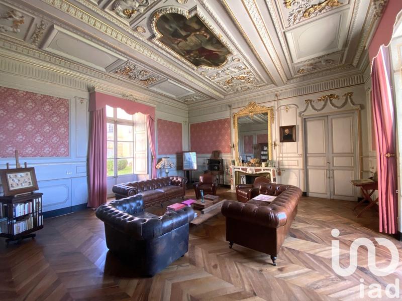 Château - 1 380 m² - 30 pièces