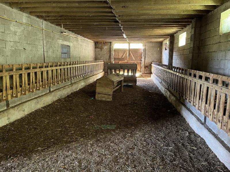 Local d'activité / Entrepôt - 372 m² - 1 pièce