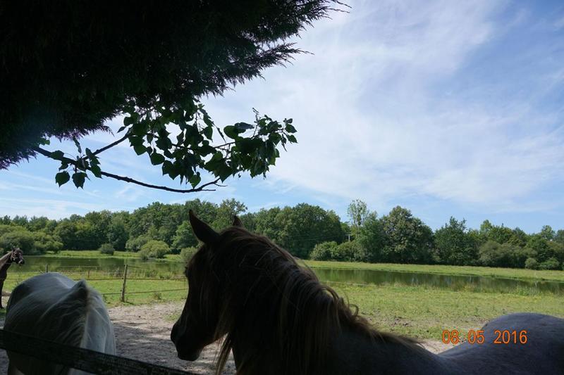 Terrain - 170 000 m²