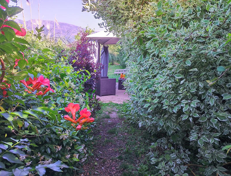 Demeure - 375 m² - 10 pièces