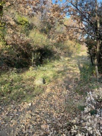 Terrain de loisirs - 4 150 m²