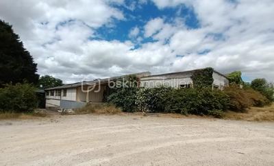 Local d'activité / Entrepôt - 1 600 m² - 20 pièces