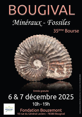 Bourse aux minéraux et fossiles
