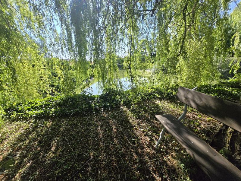 Maison - 393 m² - 10 pièces