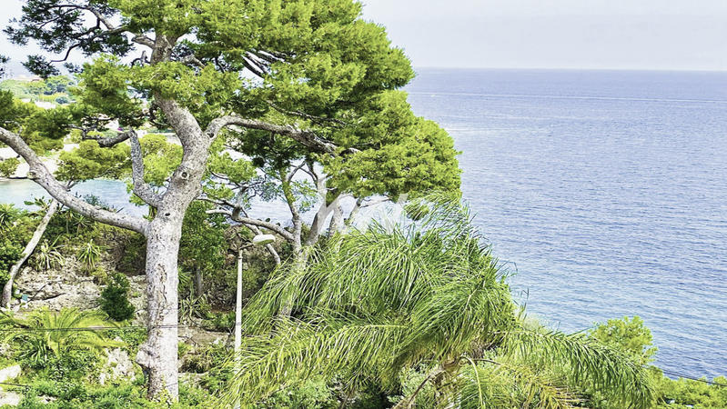 Appartement - 89 m² - 4 pièces