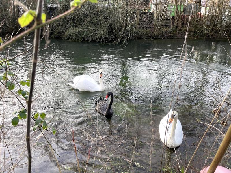 Maison de maîtres - 300 m² - 9 pièces