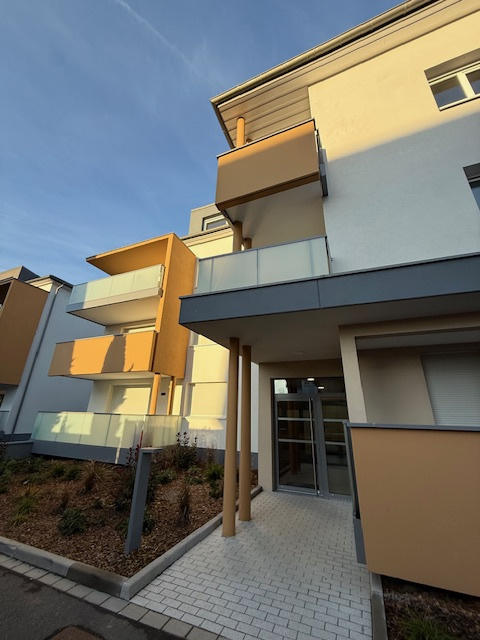 Appartement - 56 m² - 2 pièces