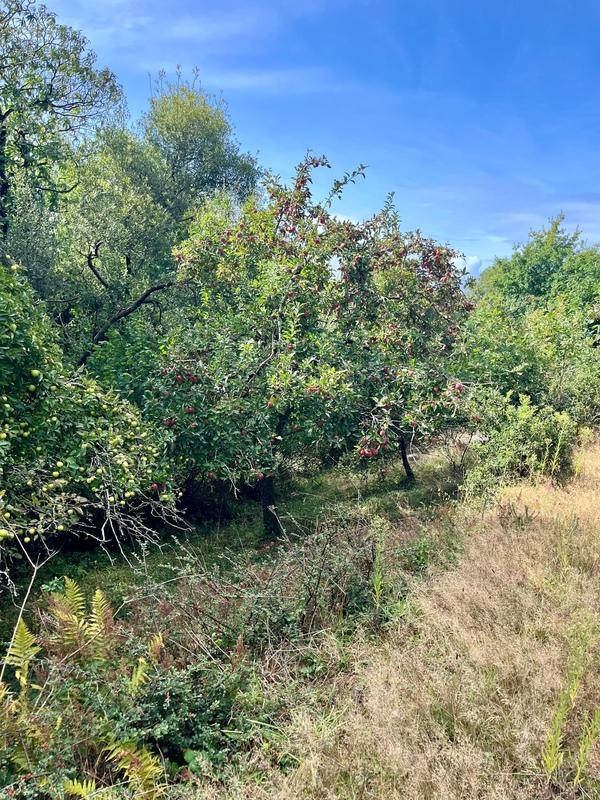 Maison - 80 m² - 2 pièces