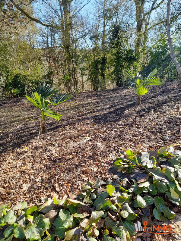 Maison - 300 m² - 8 pièces