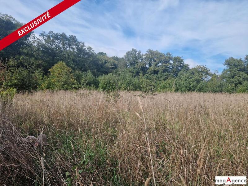 Terrain agricole - 56 990 m²