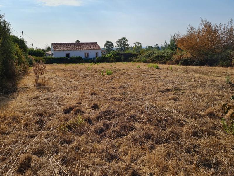 Terrain constructible - 1 037 m²