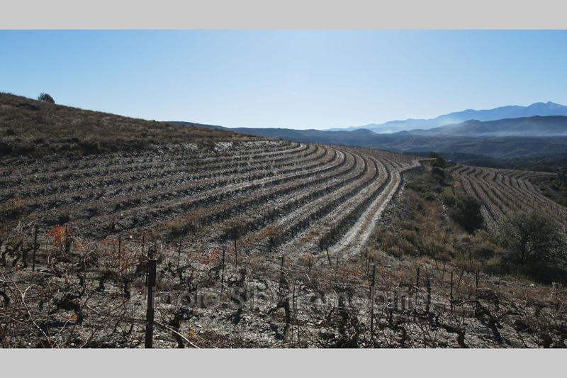 Terrain agricole - 11 020 m²