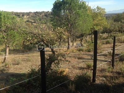 Terrain agricole - 6 375 m²