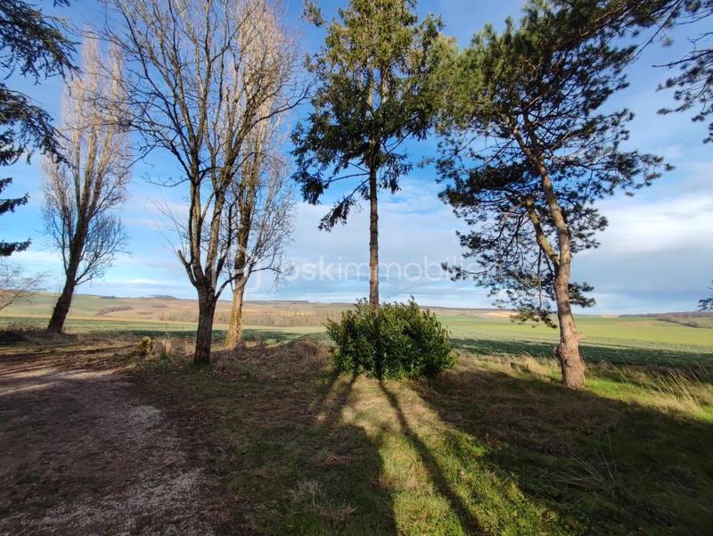 Pavillon - 60 m² - 3 pièces