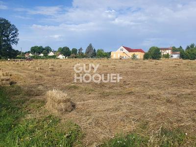 Terrain constructible - 7 000 m²