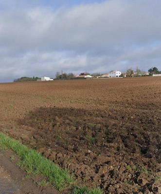 Terrain constructible - 300 m²