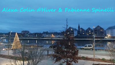 Maison bourgeoise - 174 m² - 7 pièces