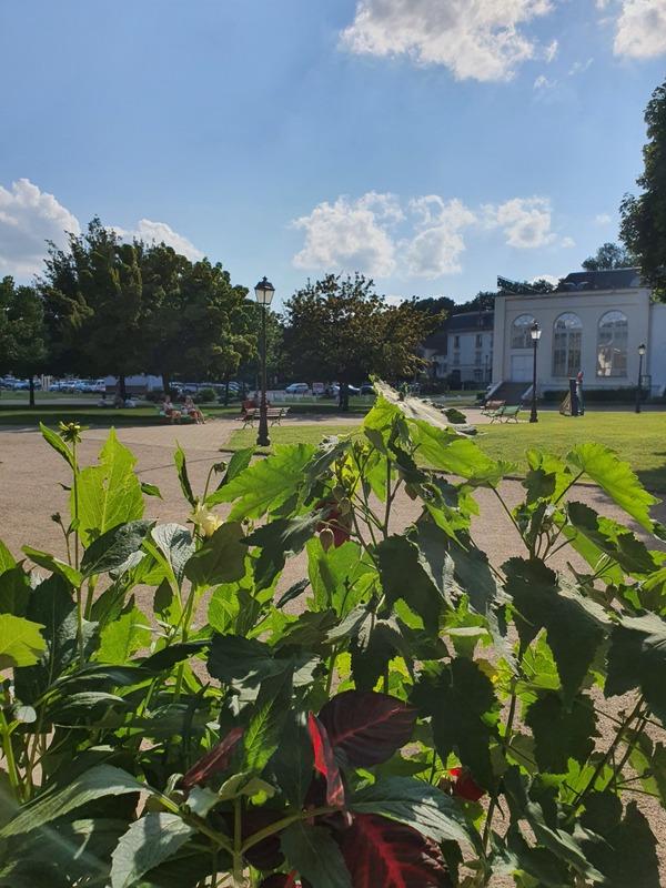 Appartement - 116 m² - 6 pièces