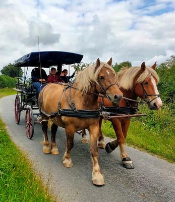 Les attelages du gros bois - vacances en roulotte avec cheval - balade en calèche