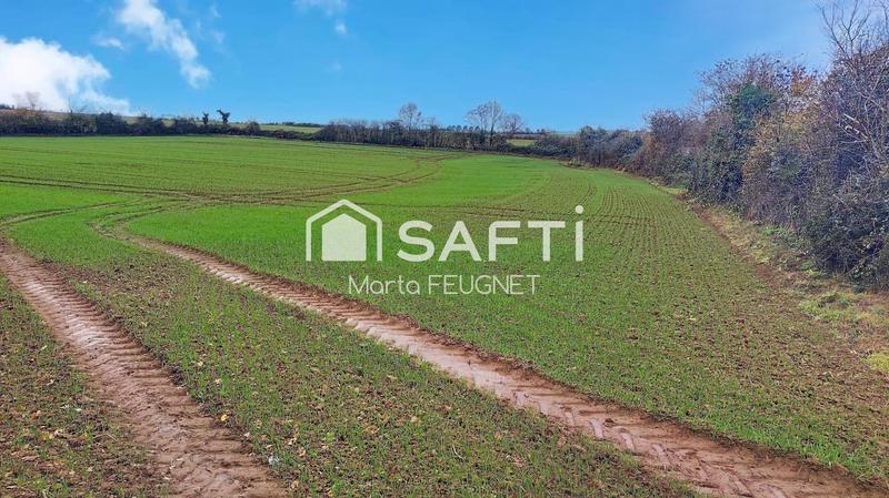 Terrain - 12 700 m²